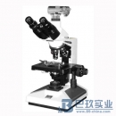 8CA-D數碼攝影生物顯微鏡
