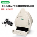 美國BIO-RAD伯樂 全新 Gel Doc? XR+ 凝膠成像系統1708195