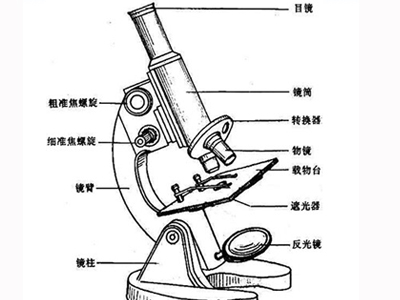 生物顯微鏡結構圖