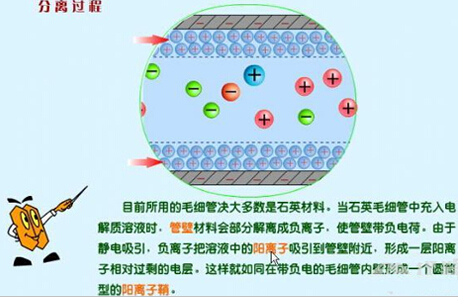 電泳儀分離圖