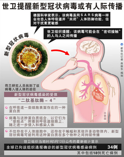 中東呼吸綜合征疫情